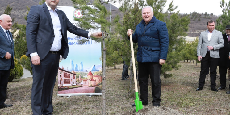 “Şəhərsalma və Memarlıq” ili çərçivəsində Şəkidə ağacəkmə aksiyası təşkil olunub